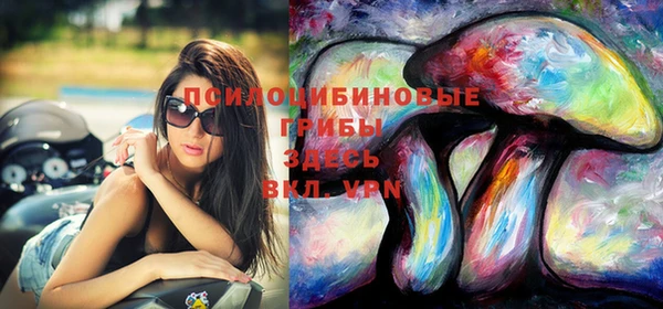 ECSTASY Карталы