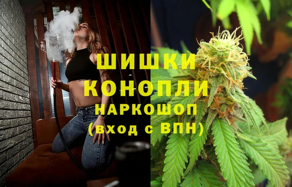 прущая мука Каменка