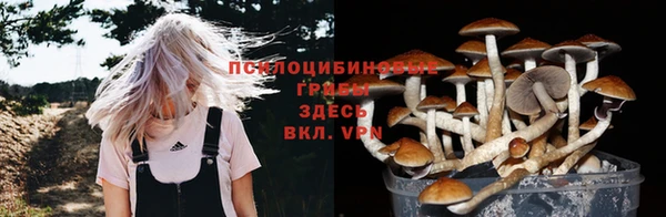 прущая мука Каменка