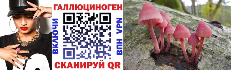 Купить закладки  Тайга  Псилоцибиновые грибы Magic Shrooms 